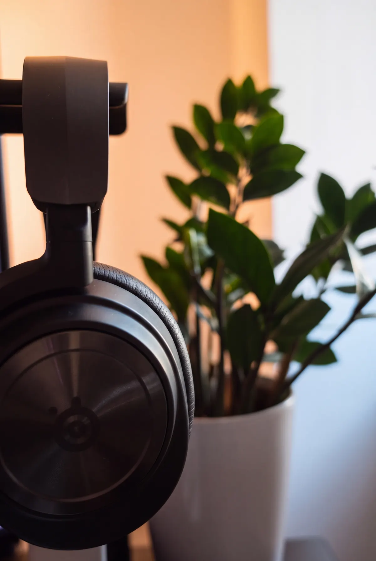 Headphones parked on a stand beside the studio plants